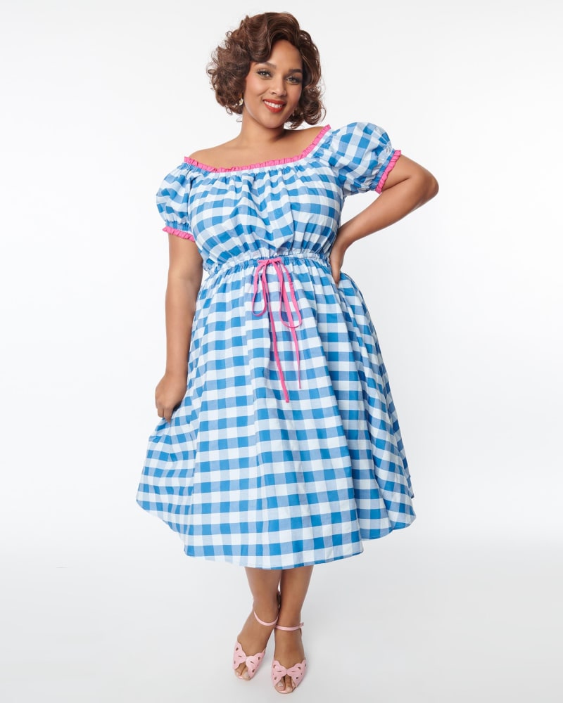 Blue gingham shop swing dress